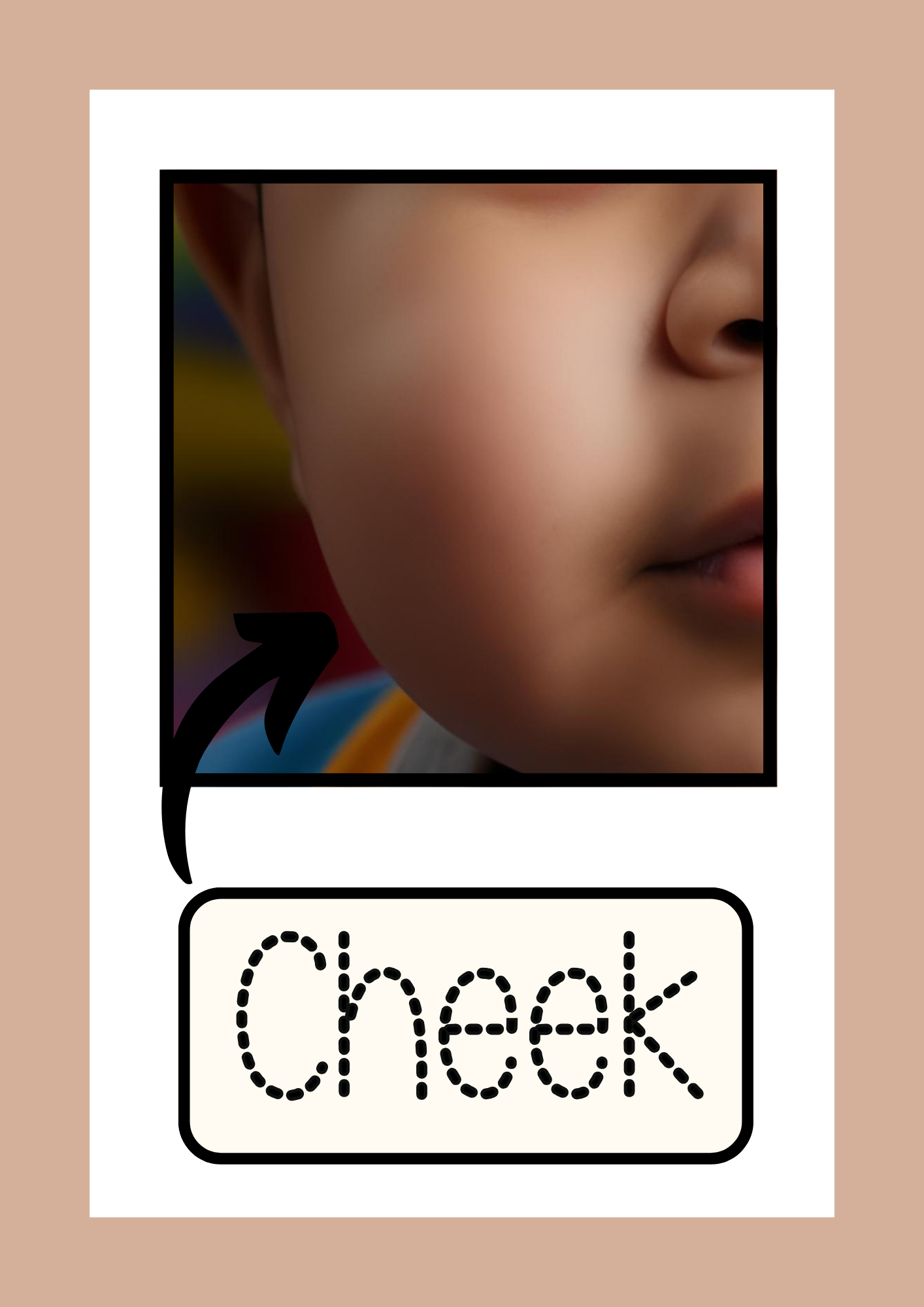 A printable flashcard displaying a close-up of a child's cheek with soft, smooth skin. A curved arrow highlights the cheek area, and "Cheek" is written in a dotted tracing font, encouraging toddlers to recognize facial features while improving fine motor skills.